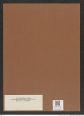 Diatomeae indet. Zeichnungen Sammlung Grunow Mappe 05060 (Herbarium_W_Grunow_drawings_Folder_05060)